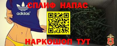 твердый Будённовск