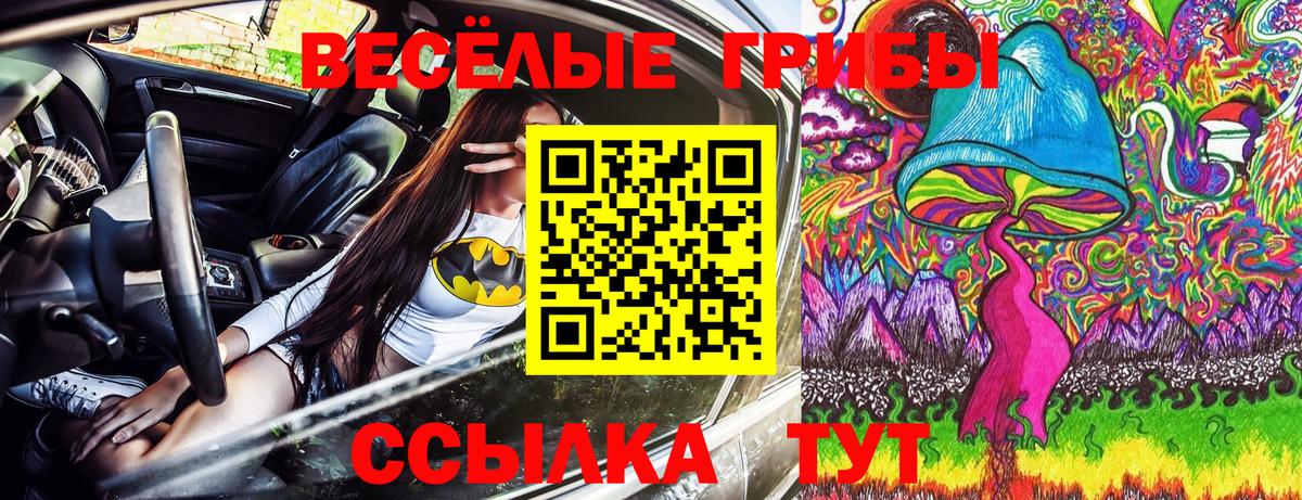 Галлюциногенные грибы GOLDEN TEACHER  Вход с VPN  Пенза 