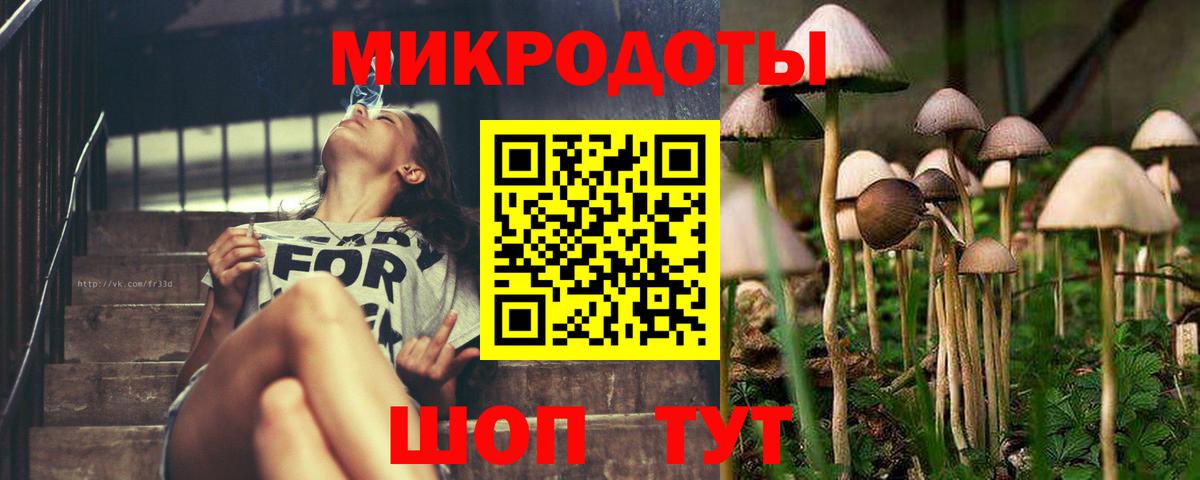 Псилоцибиновые грибы Psilocybine cubensis Пенза